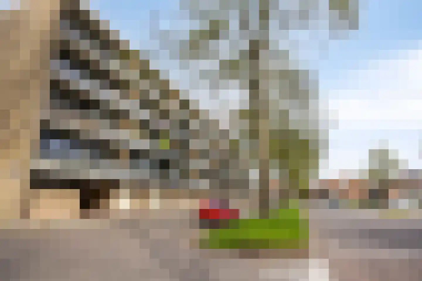 Claude Monetstraat 69 Zaandam thumbnail 7