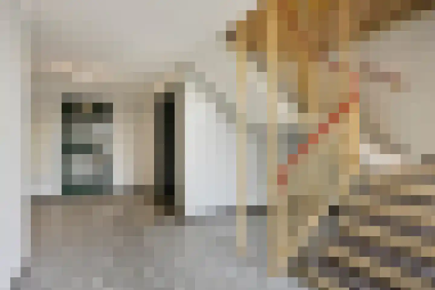 Claude Monetstraat 69 Zaandam thumbnail 8