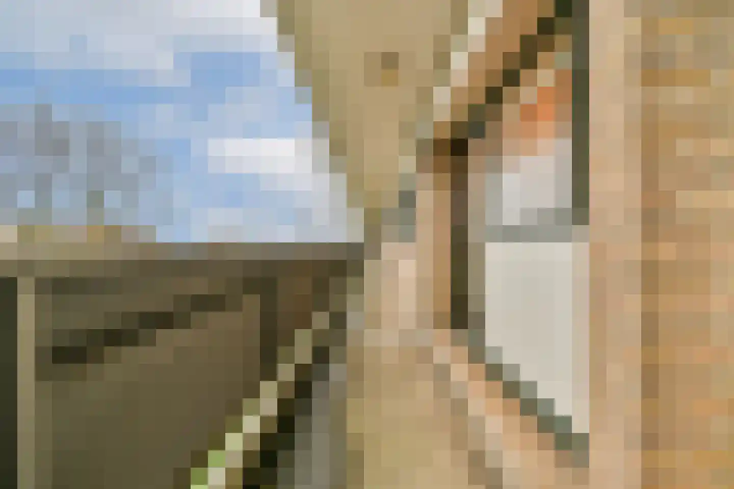 Claude Monetstraat 96 Zaandam thumbnail 4
