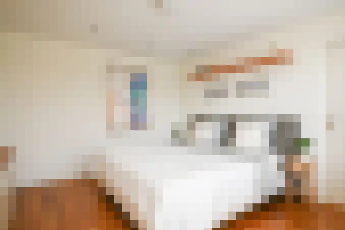 Claudiagaarde 1 Bussum thumbnail 19