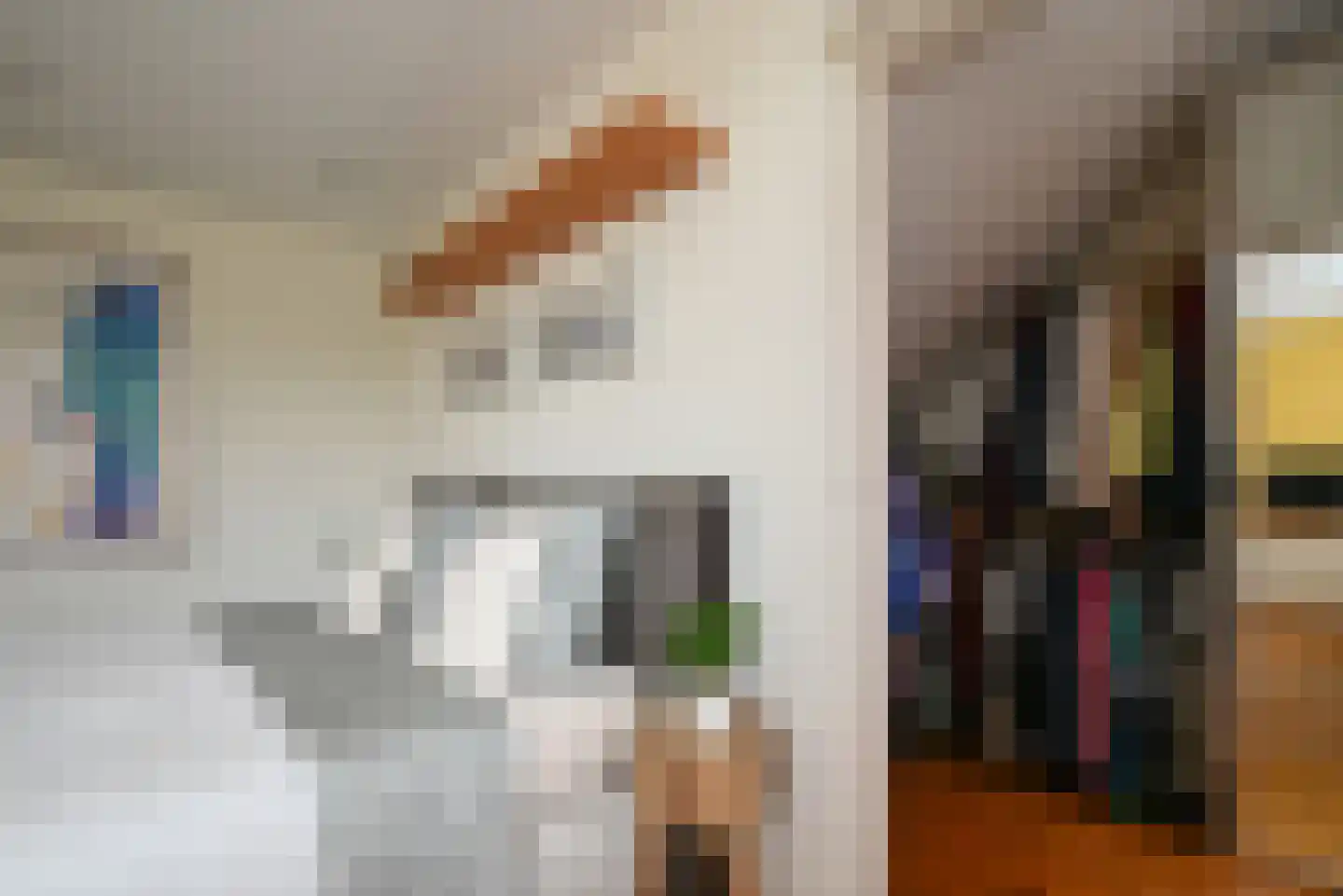 Claudiagaarde 1 Bussum thumbnail 20