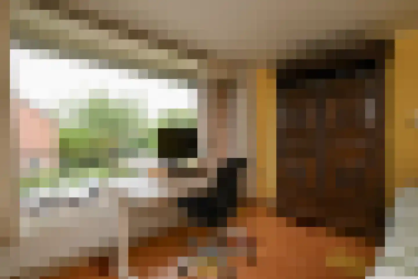Claudiagaarde 1 Bussum thumbnail 23