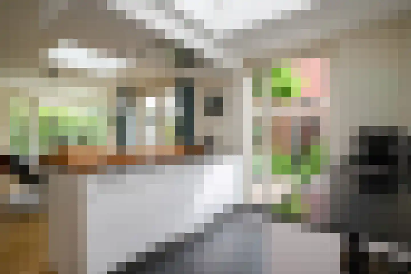 Claudiagaarde 1 Bussum thumbnail 8