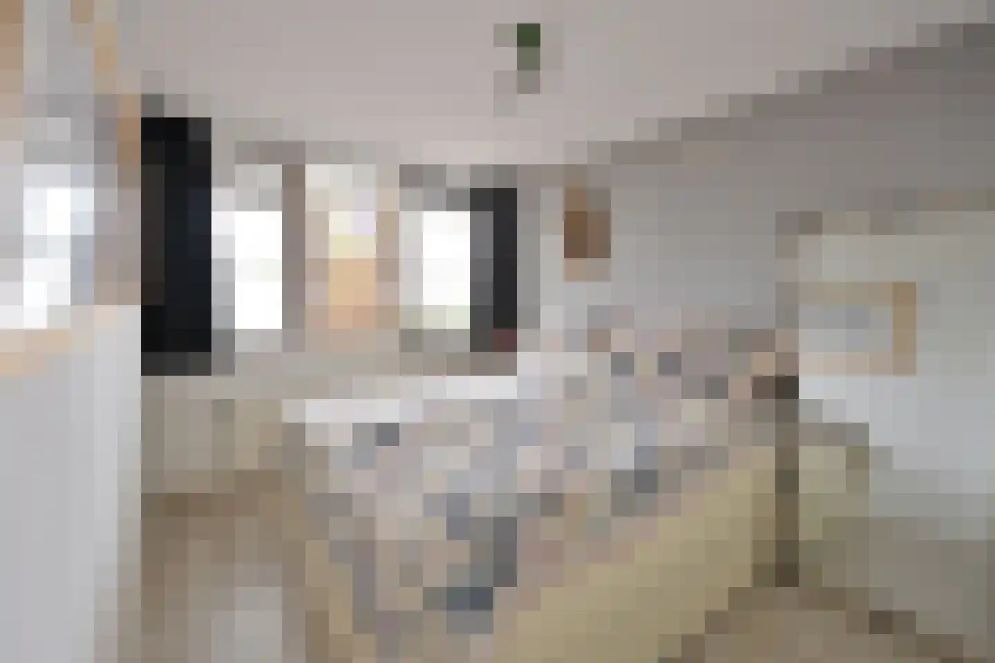 Claudiagaarde 56 Bussum thumbnail 10