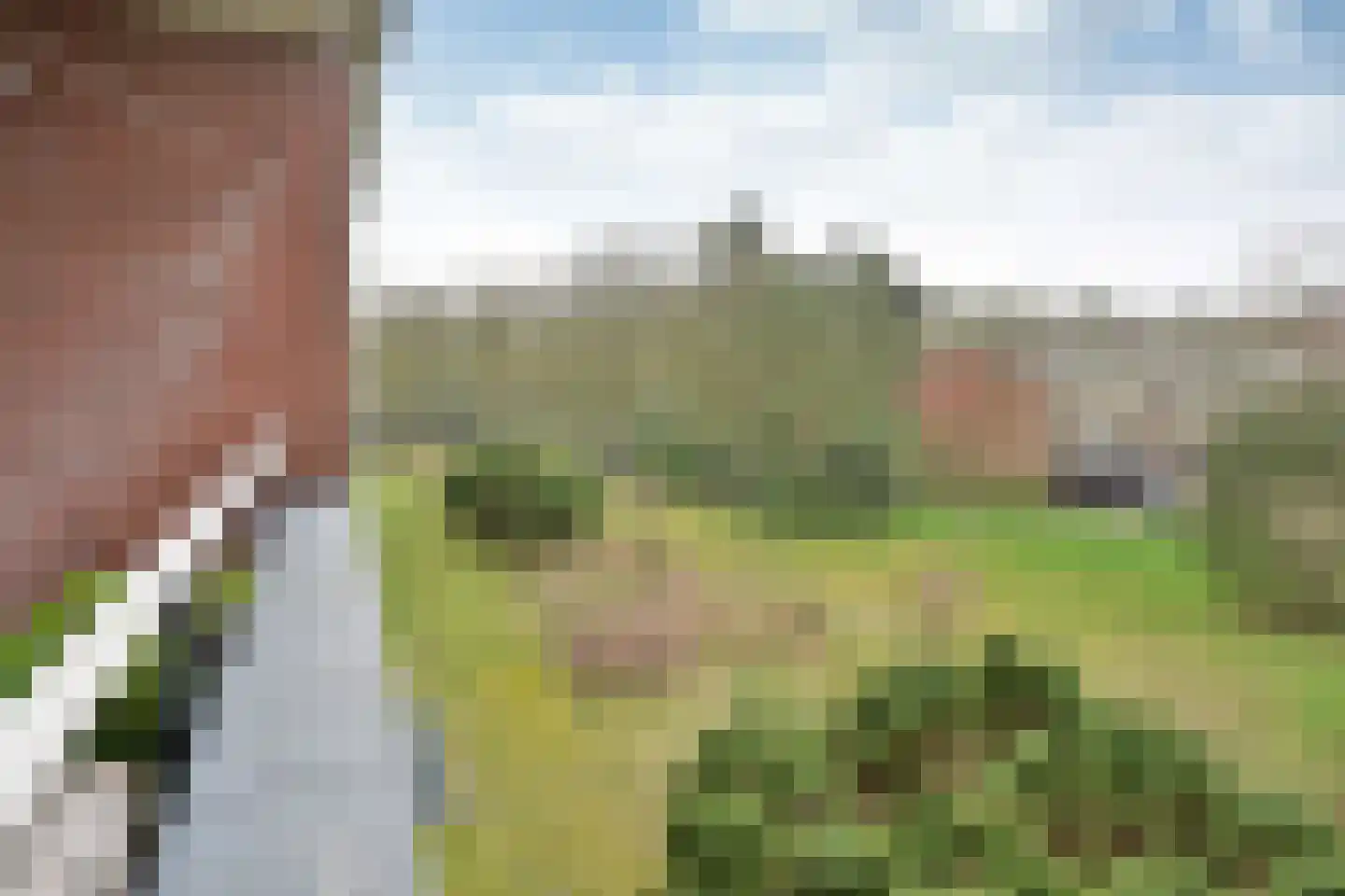 Claudiagaarde 56 Bussum thumbnail 13