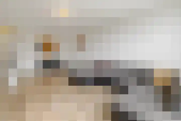 Claudiagaarde 62 Bussum thumbnail 12