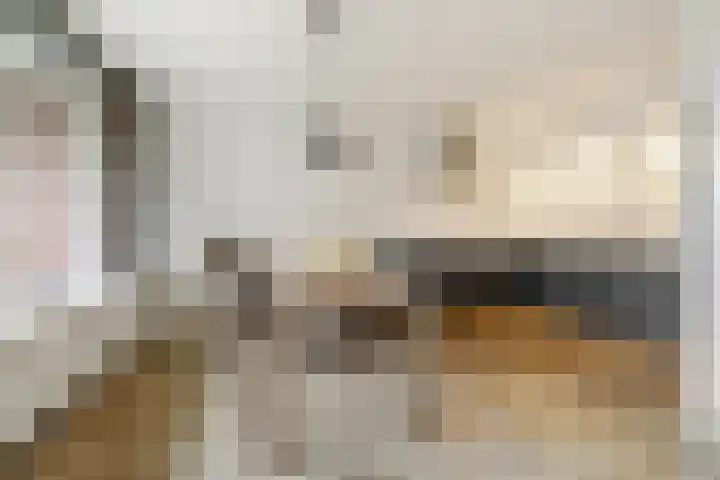 Claudiagaarde 62 Bussum thumbnail 14