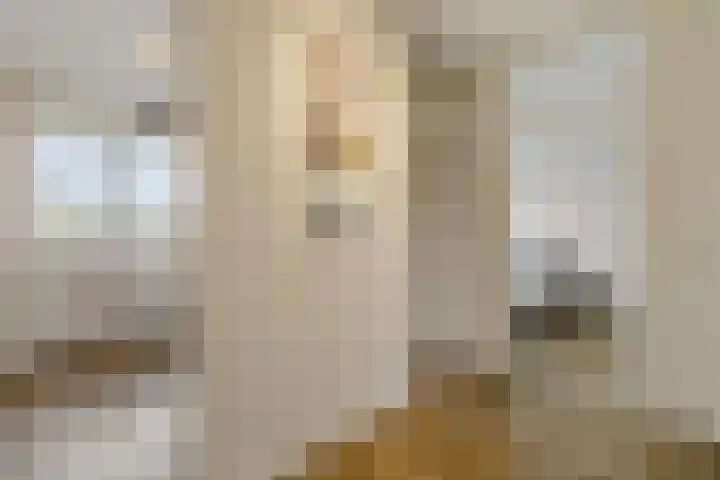 Claudiagaarde 62 Bussum thumbnail 22