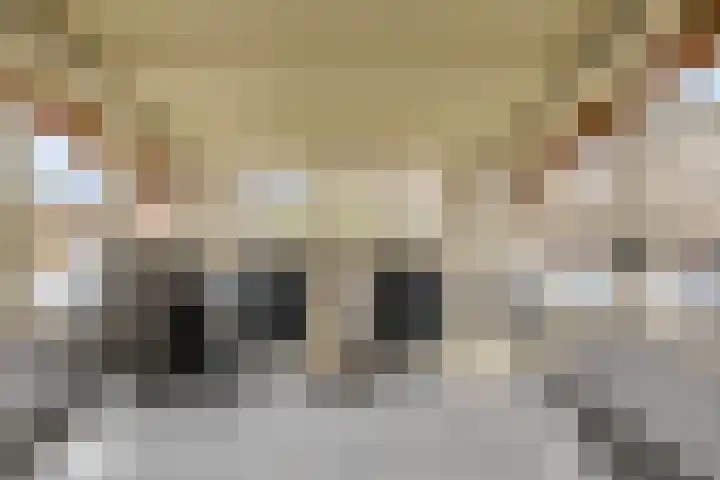 Claudiagaarde 62 Bussum thumbnail 6