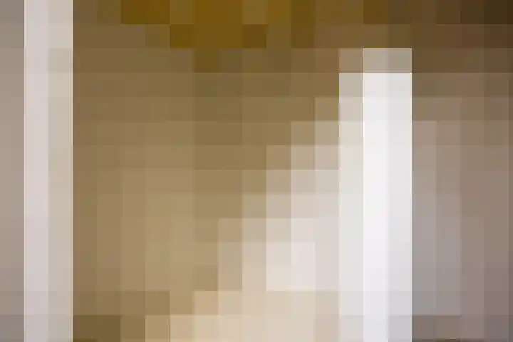 Claudiahof 9 Venray thumbnail 15