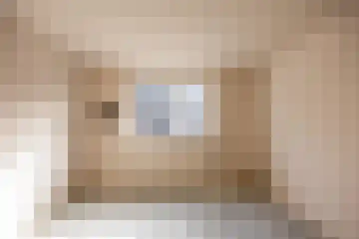 Claudiahof 9 Venray thumbnail 21