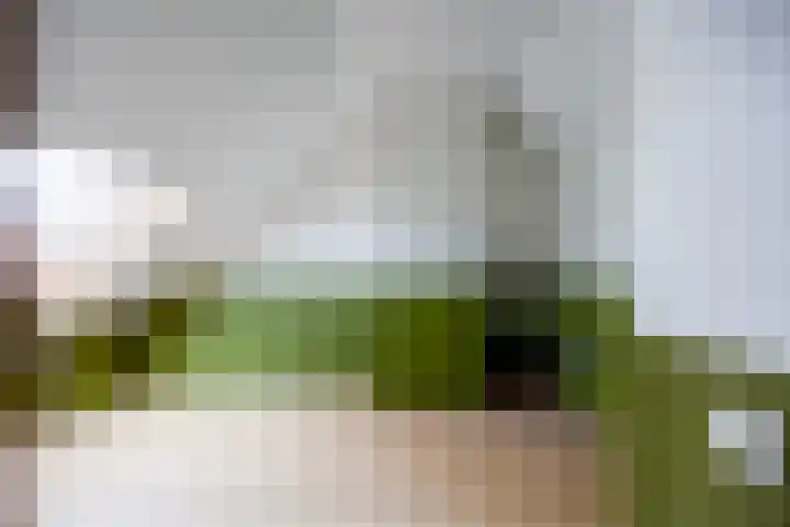 Claudiahof 9 Venray thumbnail 27