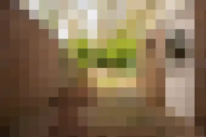 Claudiahof 9 Venray thumbnail 30