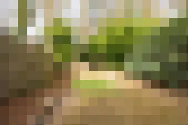 Claudiahof 9 Venray thumbnail 31