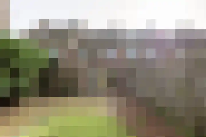 Claudiahof 9 Venray thumbnail 32