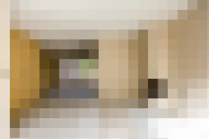 Claudiahof 9 Venray thumbnail 6
