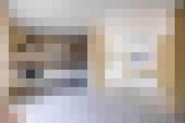 Claudiahof 9 Venray thumbnail 9