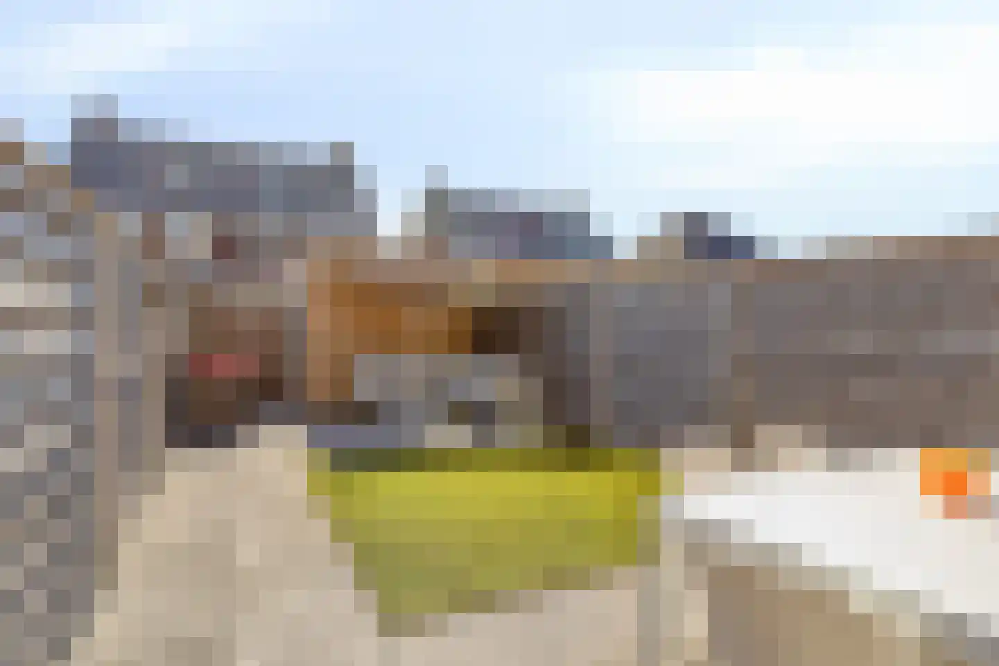 Claudius Civilis 14 Haarsteeg thumbnail 23