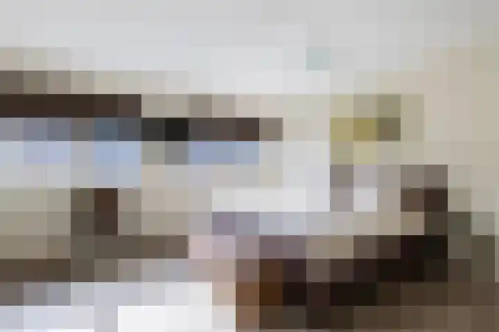 Claudius Civilislaan 3 Vlaardingen thumbnail 4