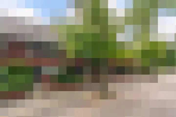 Claudius Civilislaan 7 Vlaardingen thumbnail 7