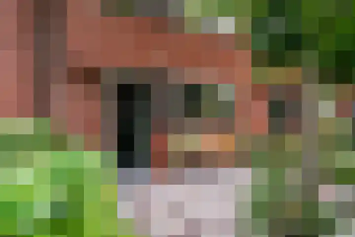 Claudius Civilislaan 7 Vlaardingen thumbnail 8
