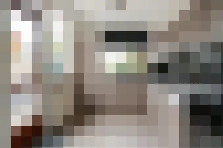 Claudius Civilisstraat 9 Pannerden thumbnail 11