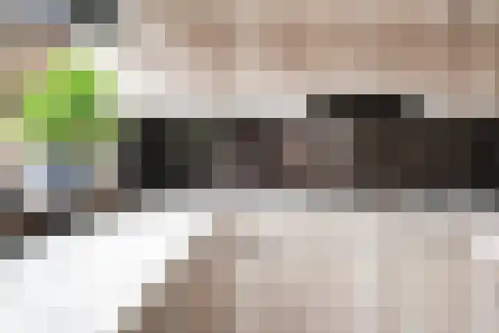 Claudius Civilisstraat 9 Pannerden thumbnail 12