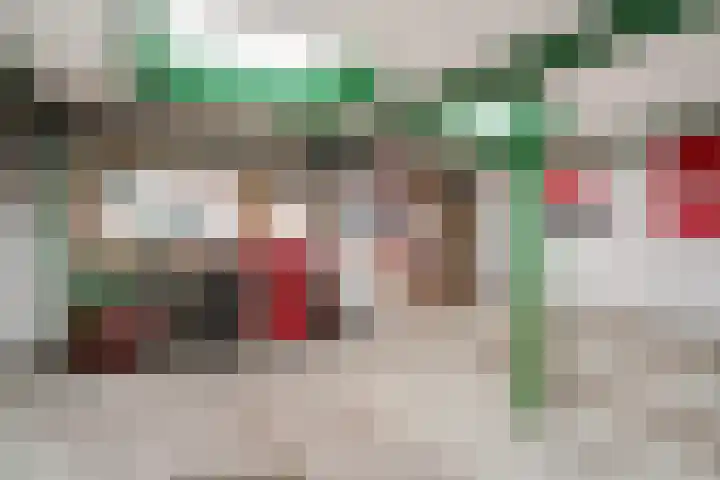 Claudius Civilisstraat 9 Pannerden thumbnail 4