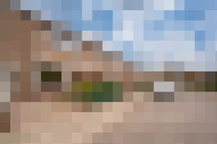 Claudius Civilisstraat 9 Pannerden thumbnail 45