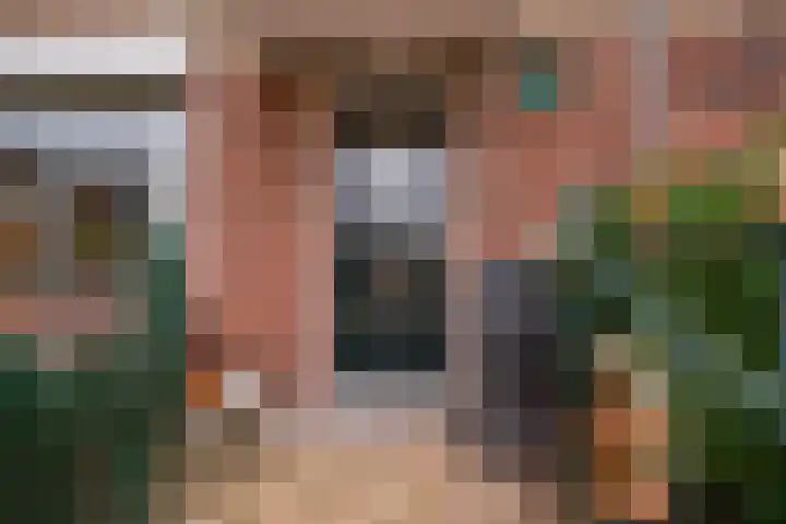 Claudius Civilisstraat 9 Pannerden thumbnail 7