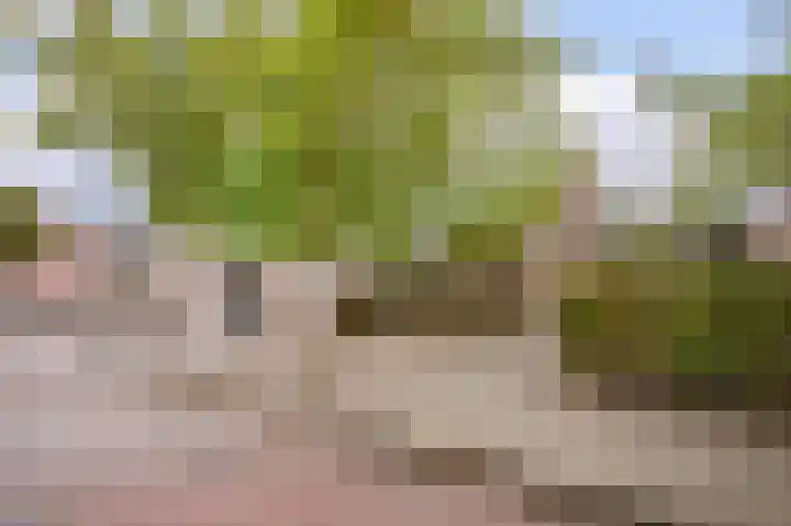 Claudiusdreef 1 Valkenburg thumbnail 34
