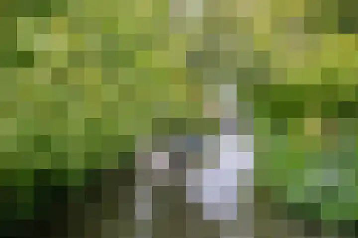 Claudiusdreef 1 Valkenburg thumbnail 35