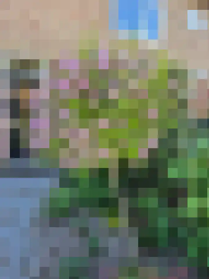 Claudiusdreef 13 Valkenburg thumbnail 36