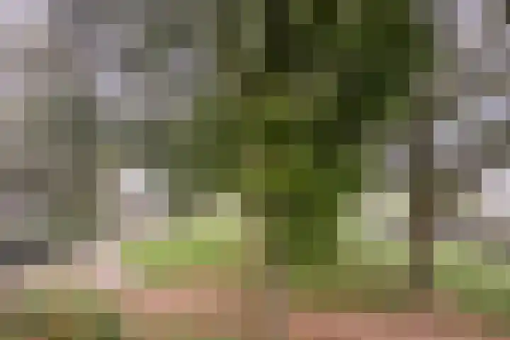 Claudiushof 17 B Maastricht thumbnail 19