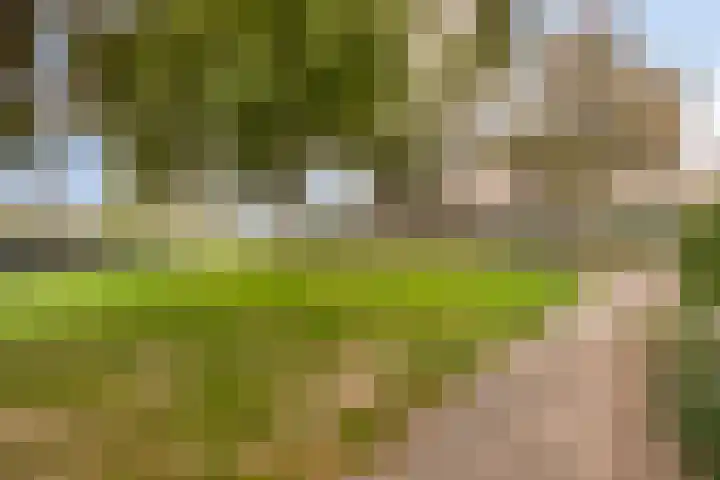 Claudiushof 17 B Maastricht thumbnail 27