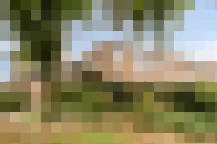 Claudiushof 17 B Maastricht thumbnail 32