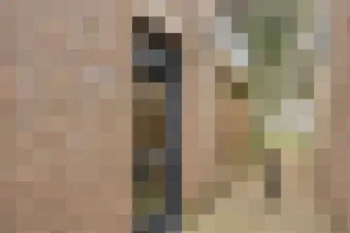 Claudiushof 17 B Maastricht thumbnail 4