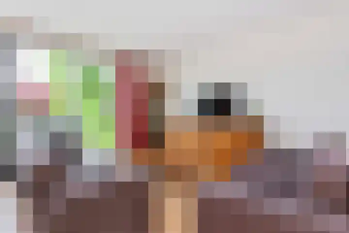 Claudiuslaan 101 De Meern thumbnail 15