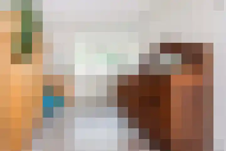 Claudiuslaan 101 De Meern thumbnail 33