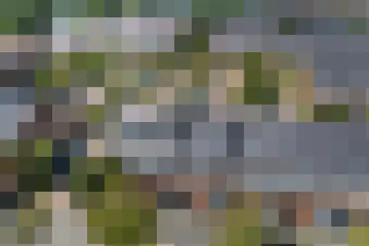 Claudiuslaan 101 De Meern thumbnail 39