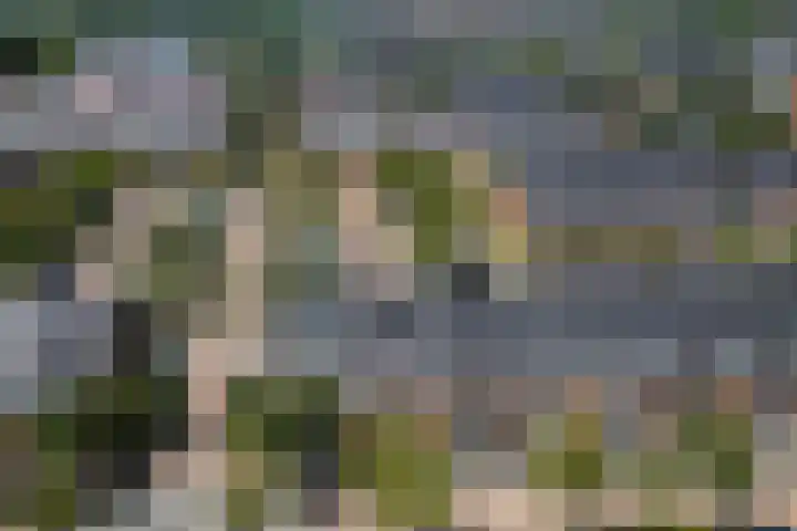 Claudiuslaan 101 De Meern thumbnail 40