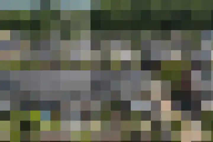 Claudiuslaan 101 De Meern thumbnail 41