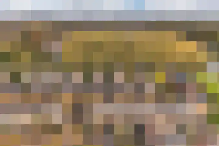 Claudiuslaan 109 De Meern thumbnail 36