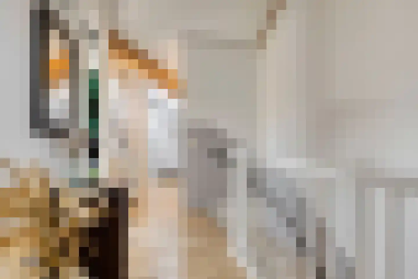 Claudiuslaan 125 De Meern thumbnail 21