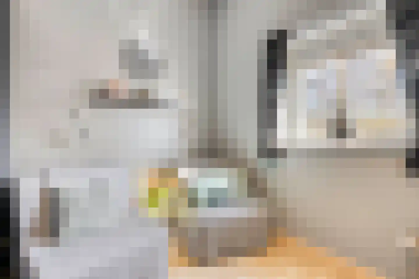 Claudiuslaan 125 De Meern thumbnail 26