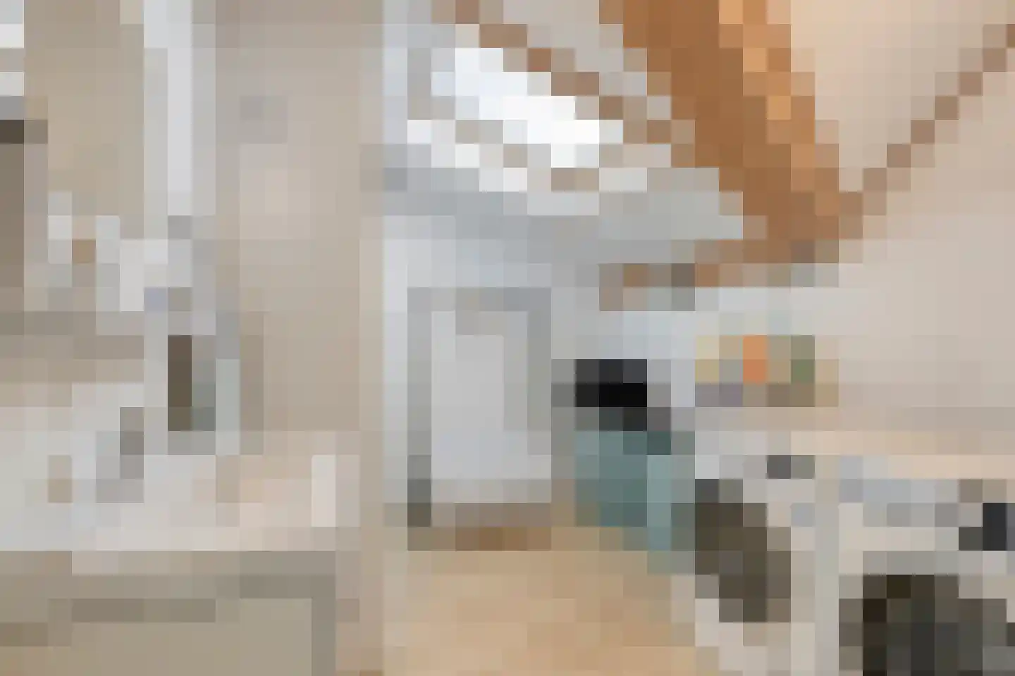 Claudiuslaan 125 De Meern thumbnail 31