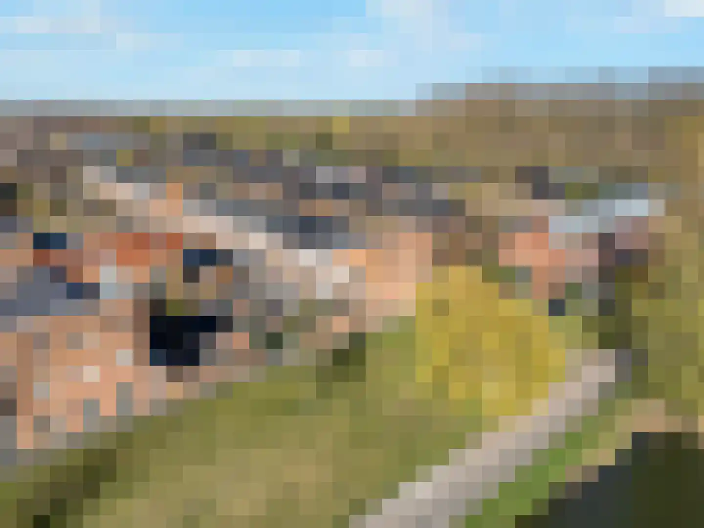 Claudiuslaan 125 De Meern thumbnail 40