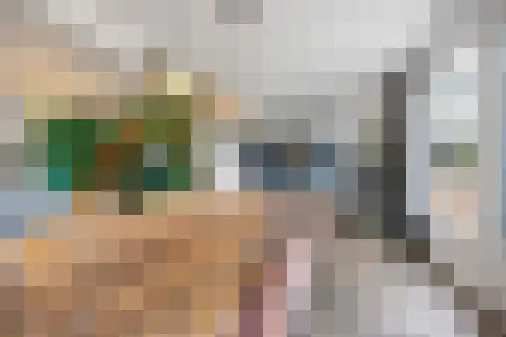 Claudiuslaan 13 Beuningen Gld thumbnail 11