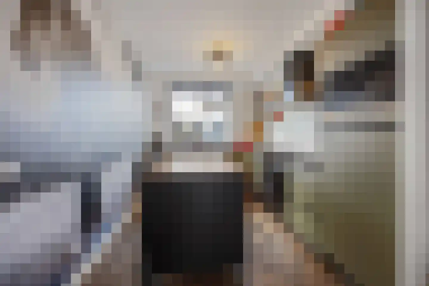 Claudiuslaan 13 Beuningen Gld thumbnail 15