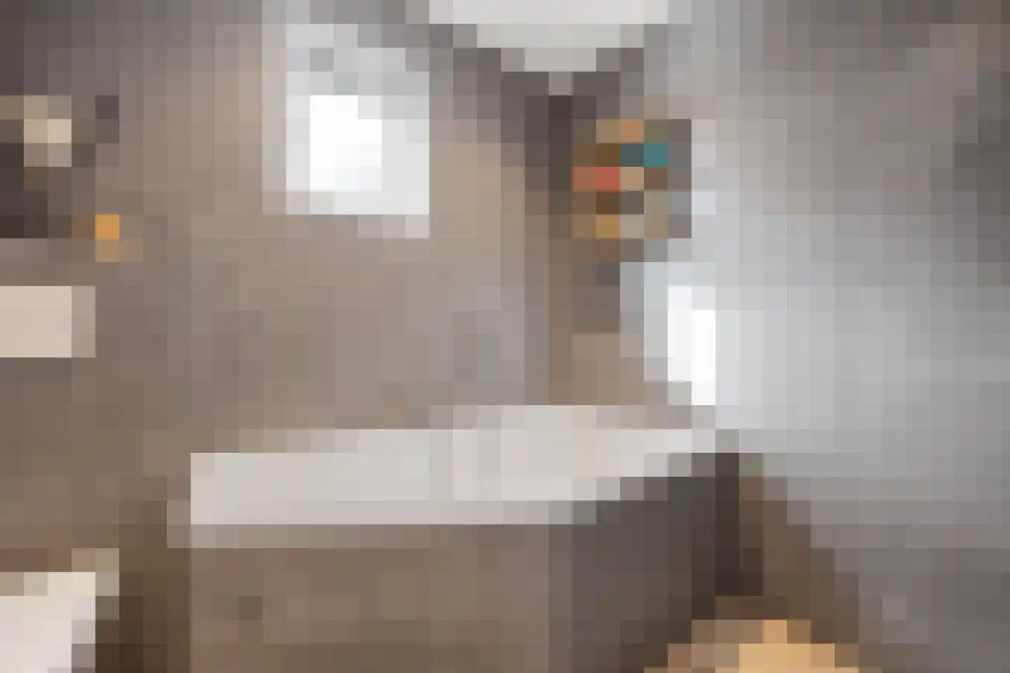 Claudiuslaan 13 Beuningen Gld thumbnail 33